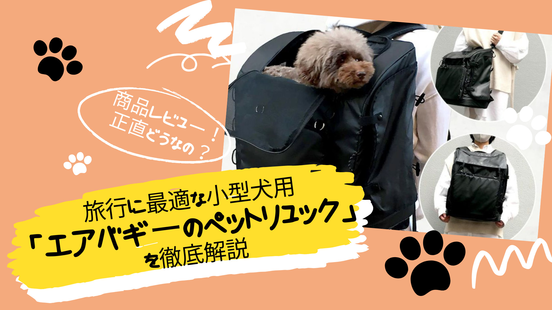 商品レビュー】旅行に最適な小型犬用「エアバギーペットリュック」の魅力を徹底解説 - ペットのこと