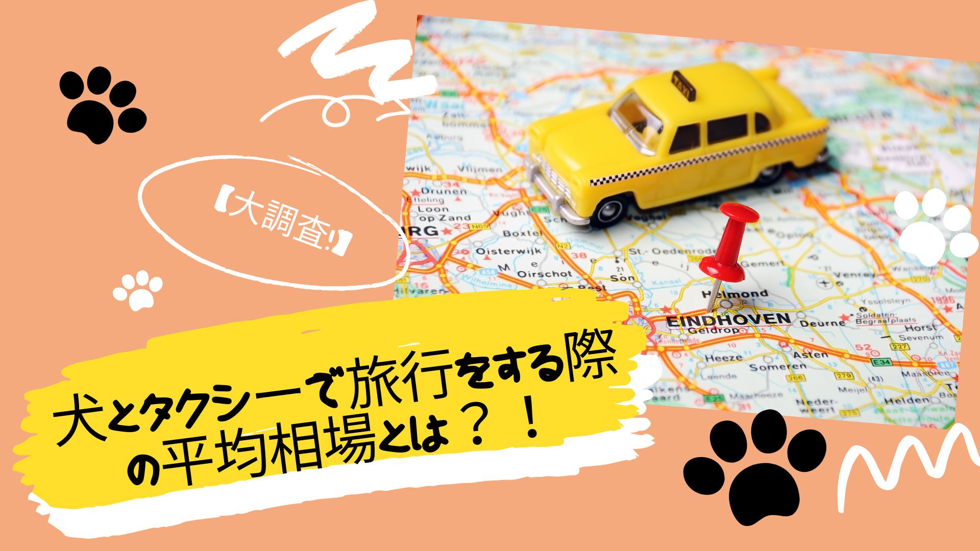 ペットと旅行したいとき 車を持っていなければタクシーでの移動を 人気 site www.erva-dog.com